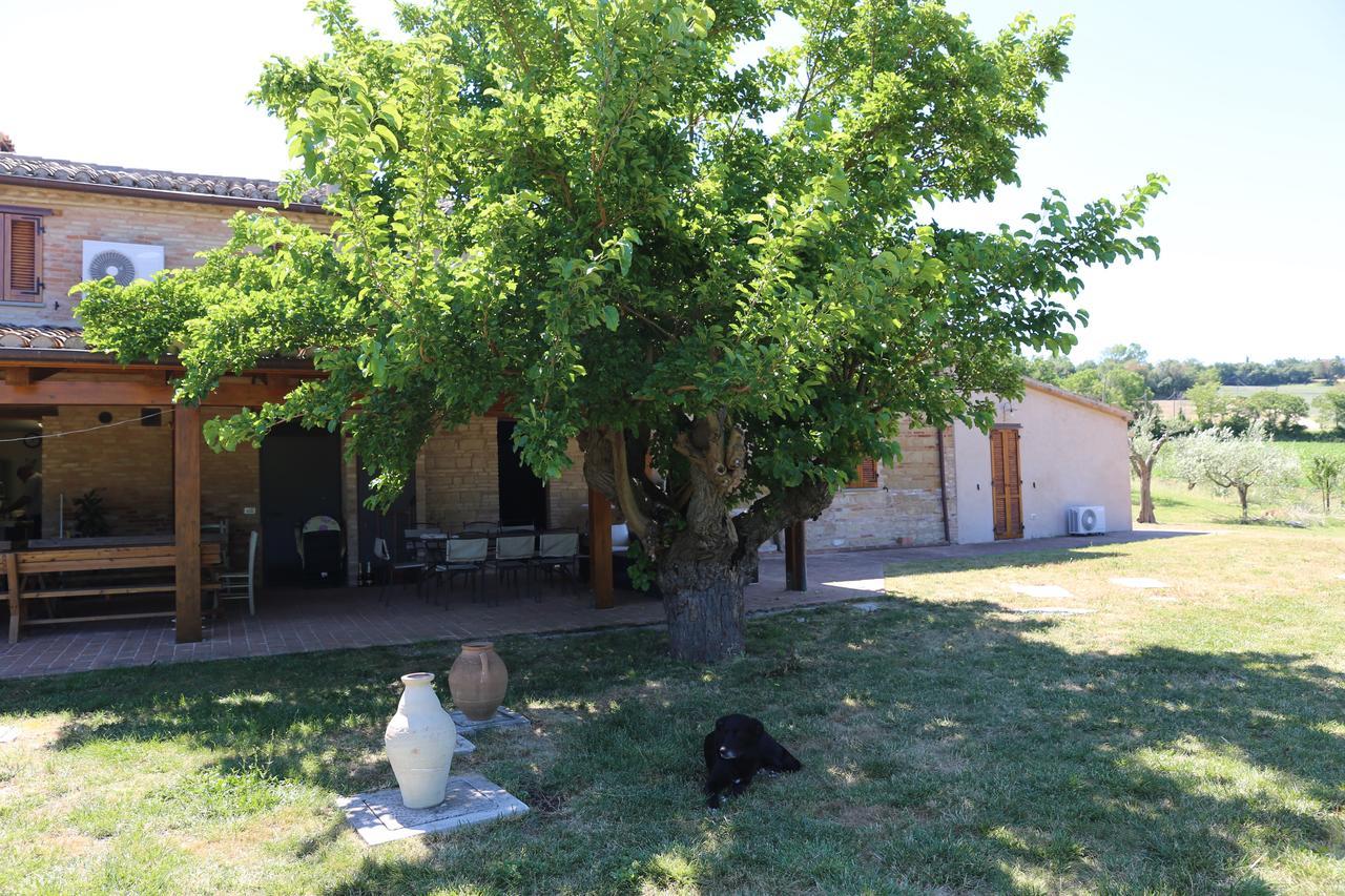 Villa Casale Talevi Cartoceto Exterior foto